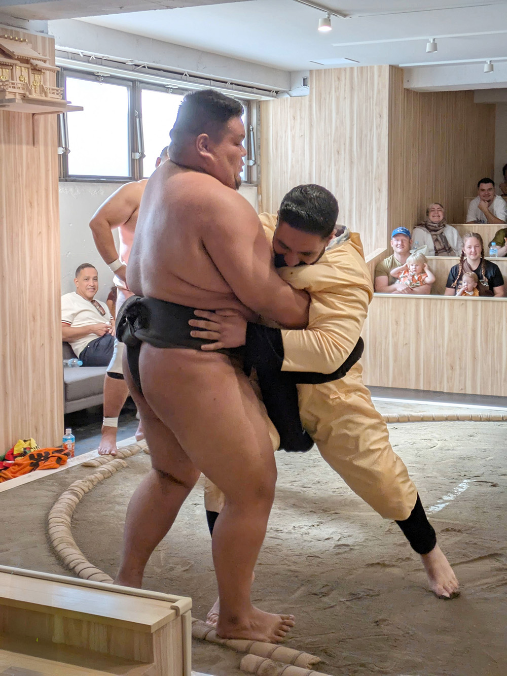 Sumo-Show